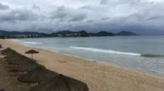 Небезпека на пляжі - пісочні блохи